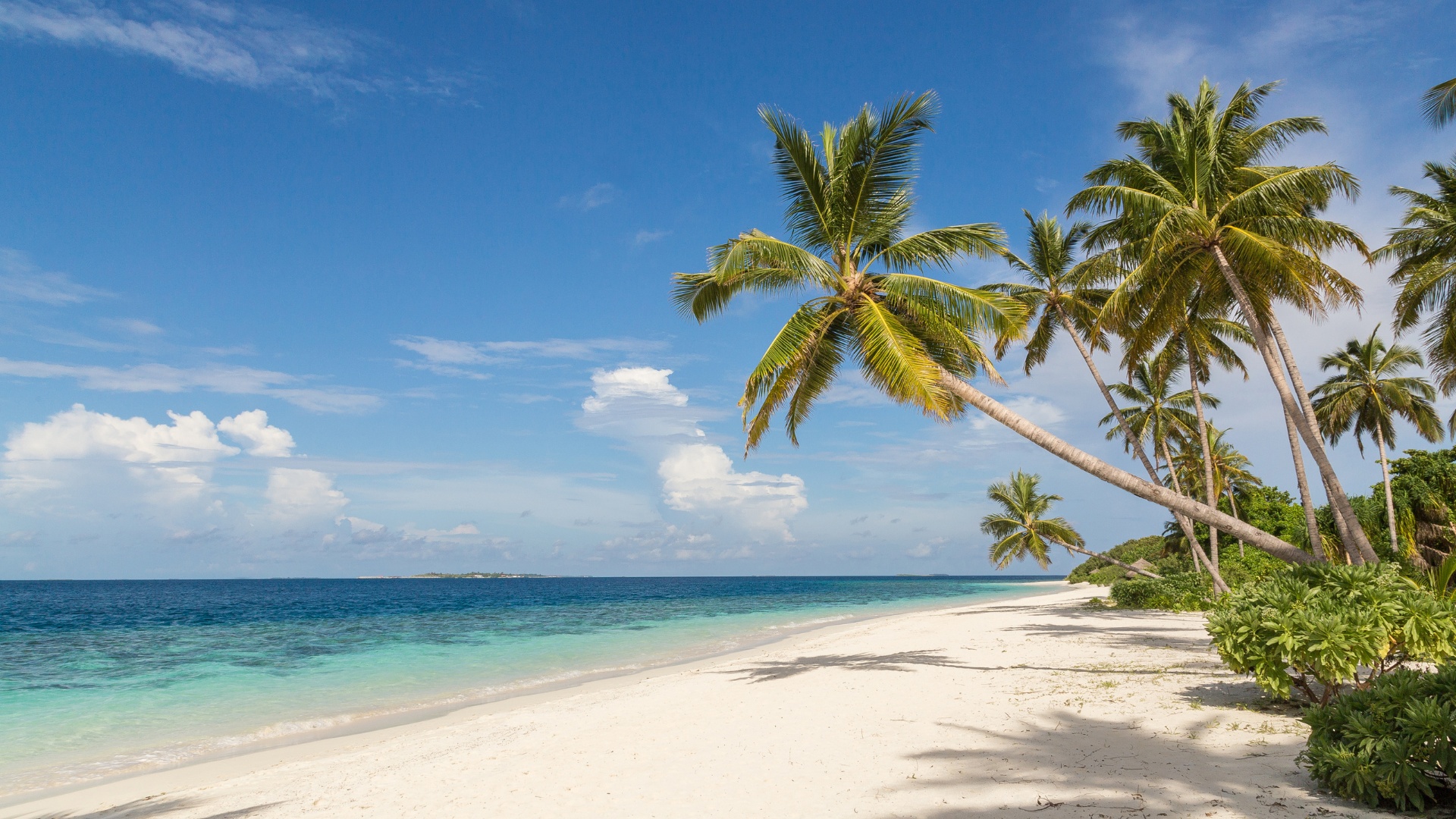 Arena Beach Maafushi
